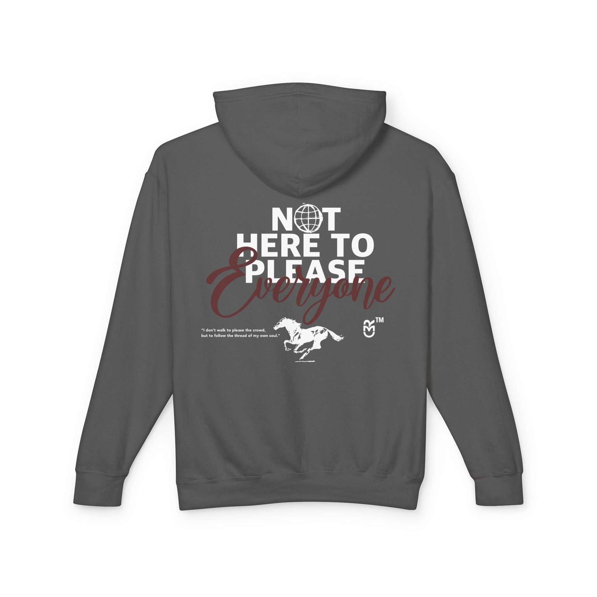 Not Here to please everyone hoodie