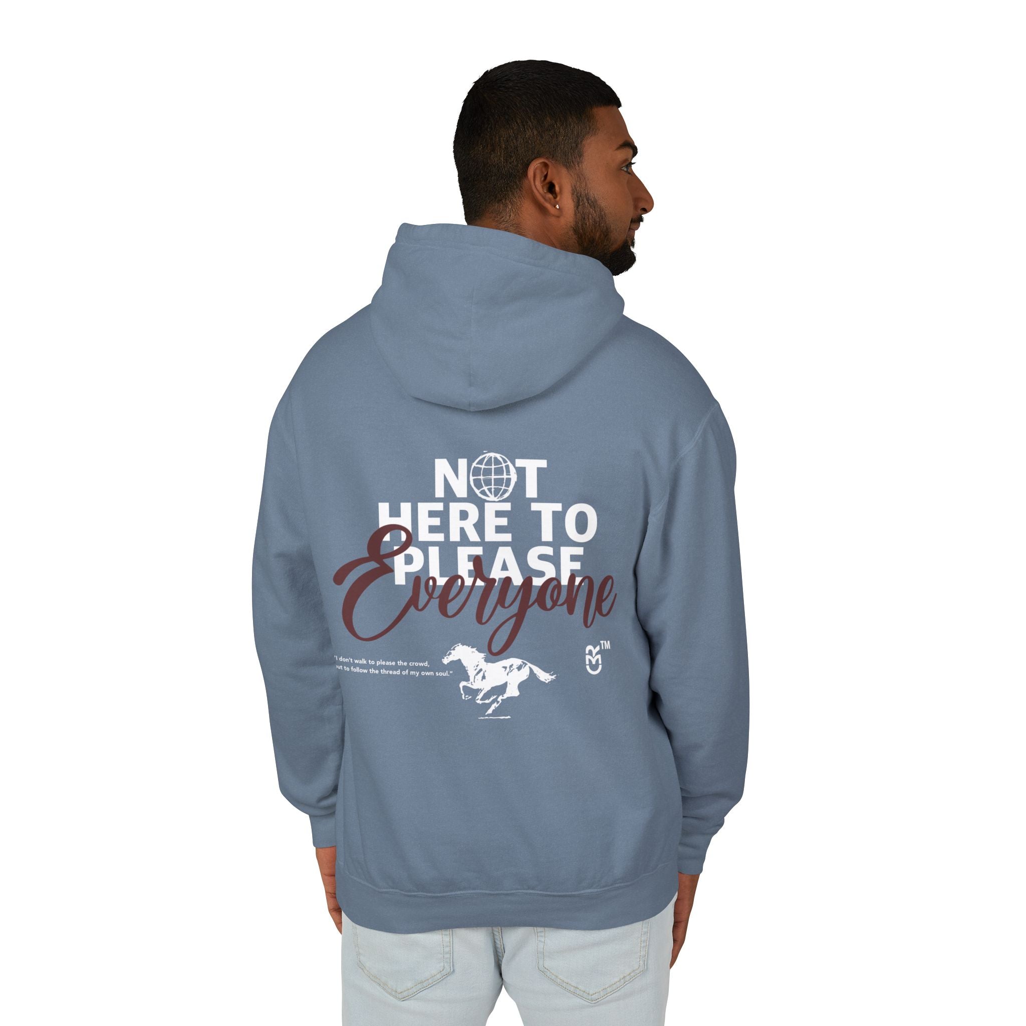 Not Here to please everyone hoodie
