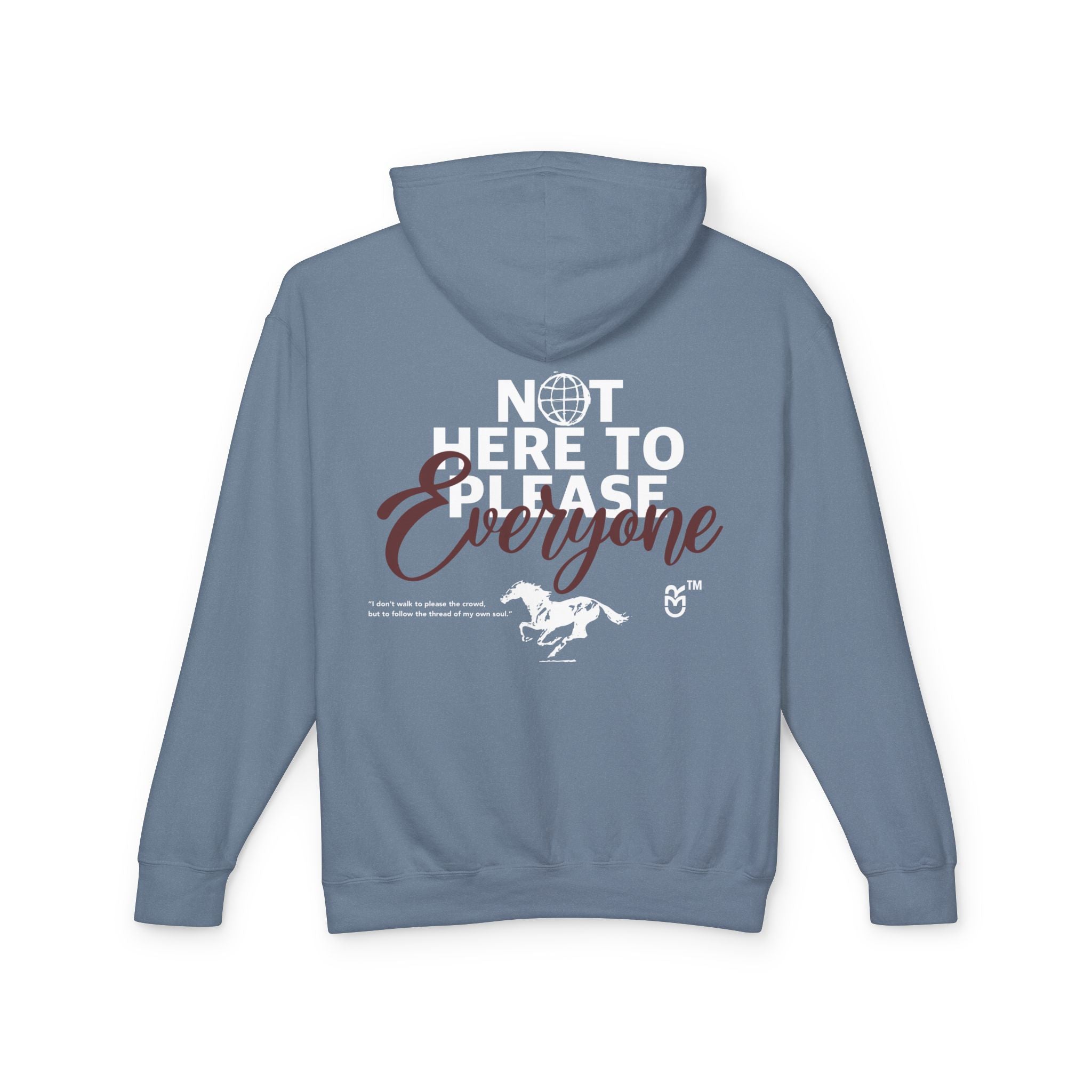 Not Here to please everyone hoodie